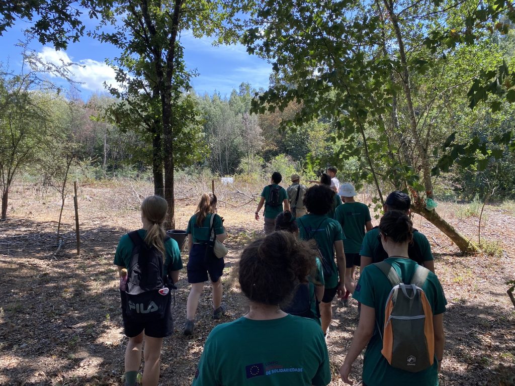 Poiares procura voluntários para participar no projeto Active Forest II @CM Vila Nova de Poiares