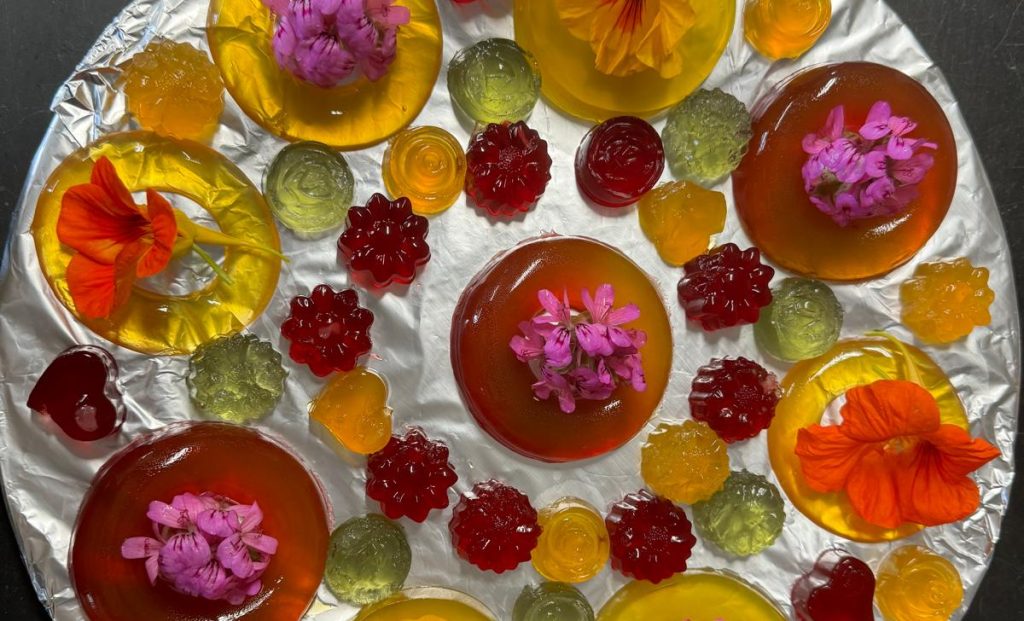 WhatsApp Image 2024-12-13 at 11.42.08 (1)