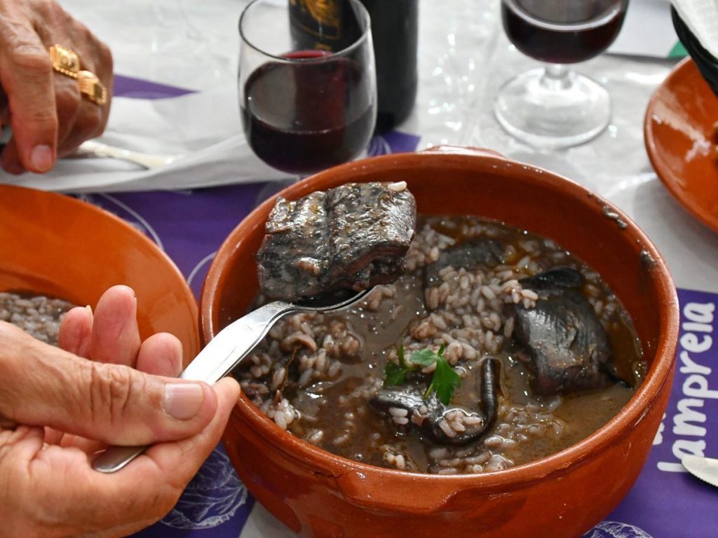 Festival da Lampreia @CM MOV