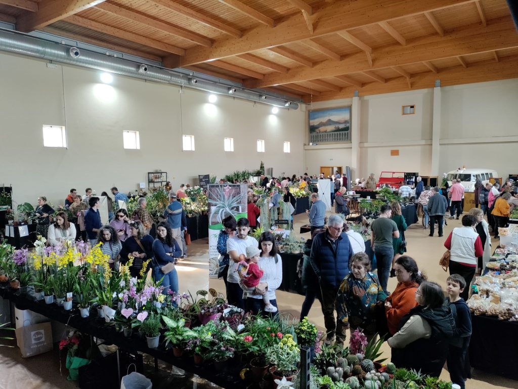 CM_Cantanhede_6ªExposição_de_Orquídeas (1)