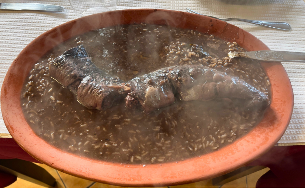 Lampreia @Beira Digital TV