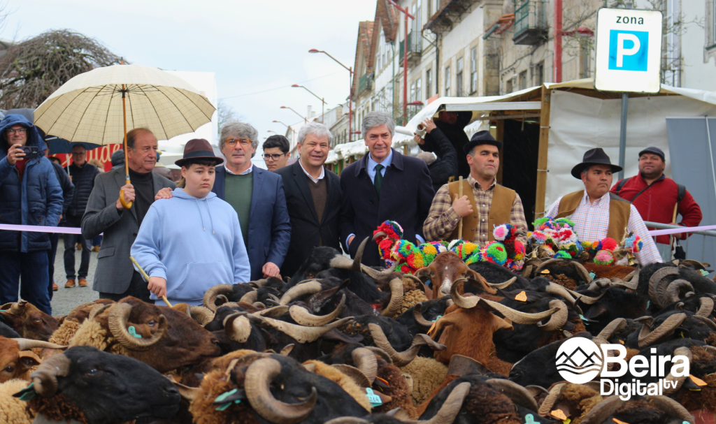 Festa do Queijo de Oliveira do Hospital @Beira Digital TV