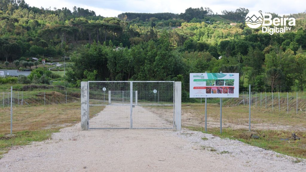 Parque Biomassa de Tábua @Beira Digital TV