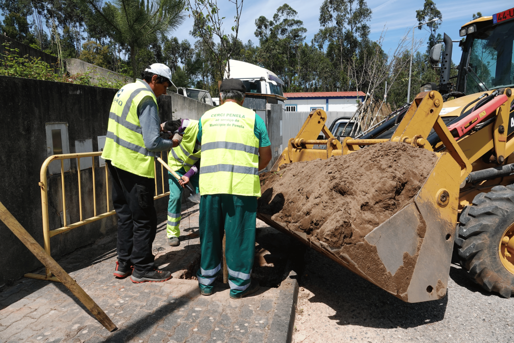 cer_cmp_pla_árv_zon_ind_pen_25