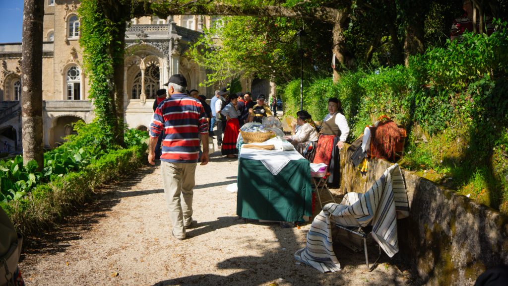 romariabussaco24-093