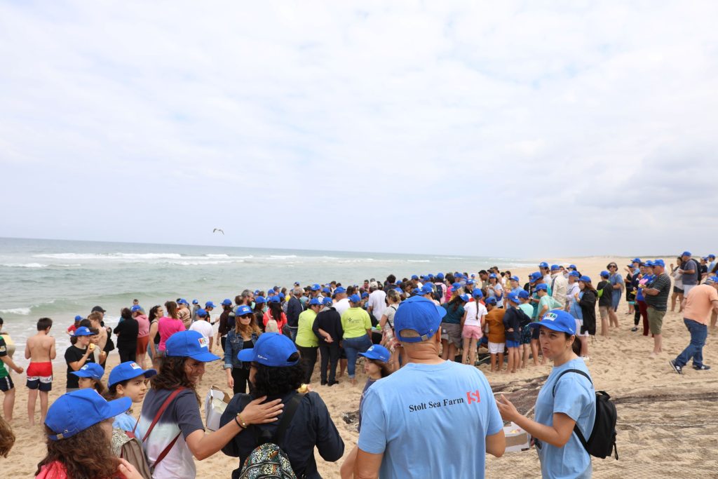 CM_Cantanhede_Arte_Xávega_Tocha (3)