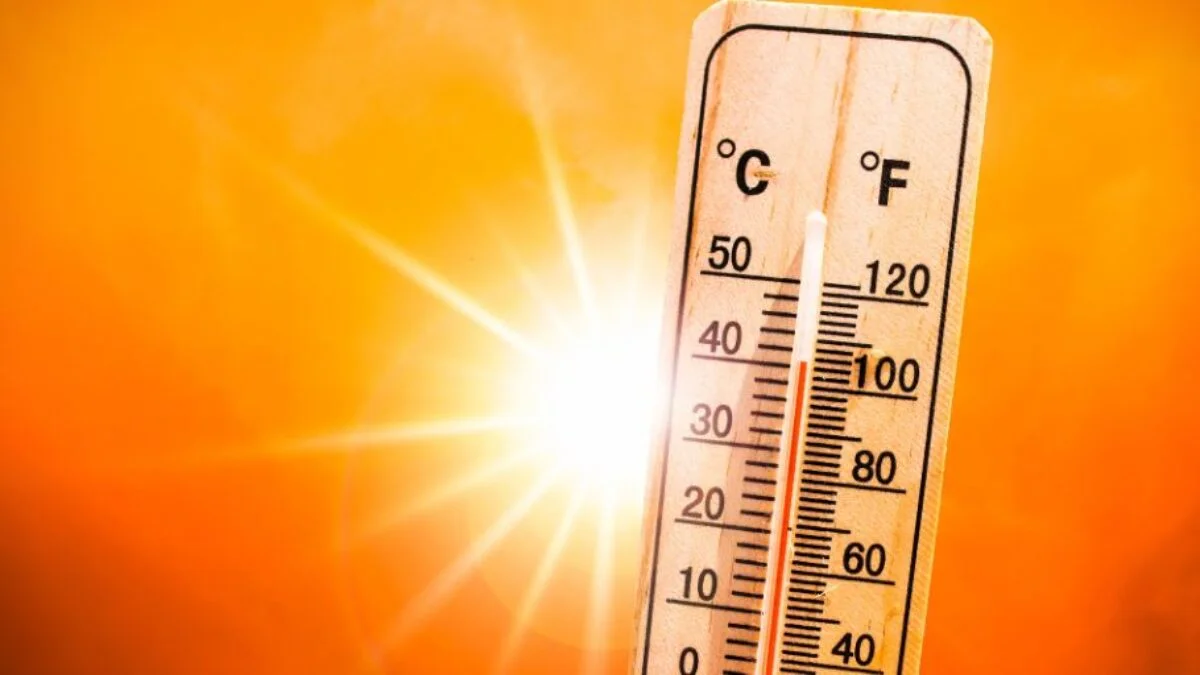 Onda de calor marinha de 2023 aumentou em três graus a temperatura do mar no norte da Europa