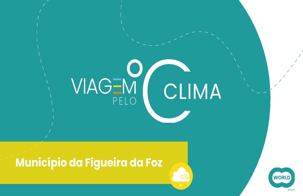 Imagem1