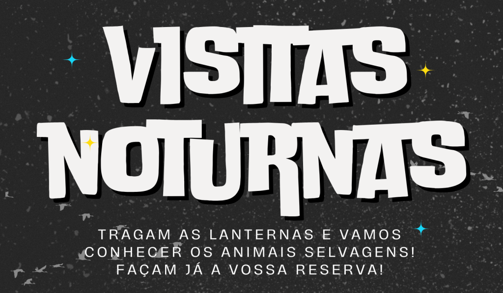 Visitas noturnas_2025