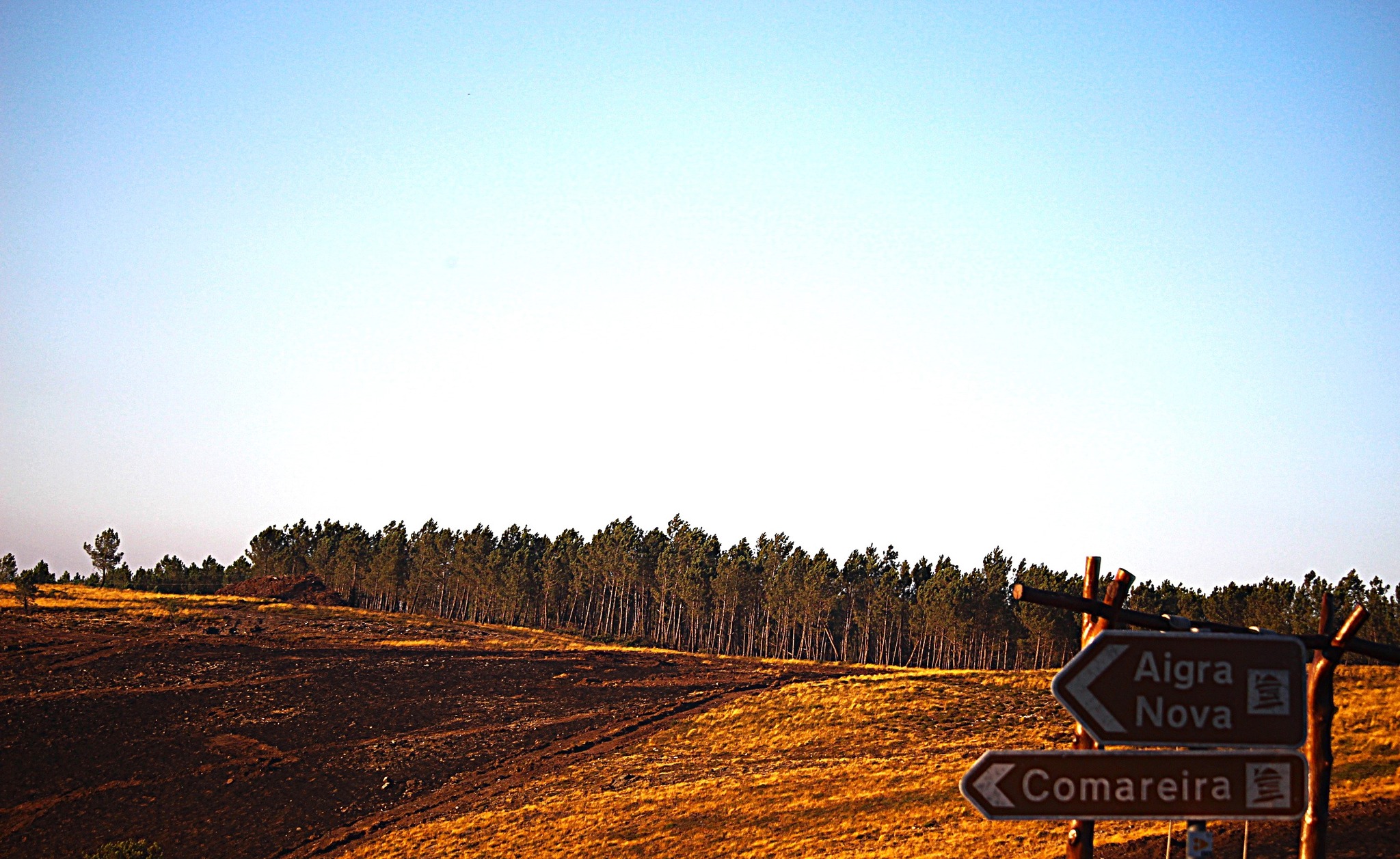 Lousitânea apela à ajuda para recuperar aldeias em Góis fustigadas pelo incêndio