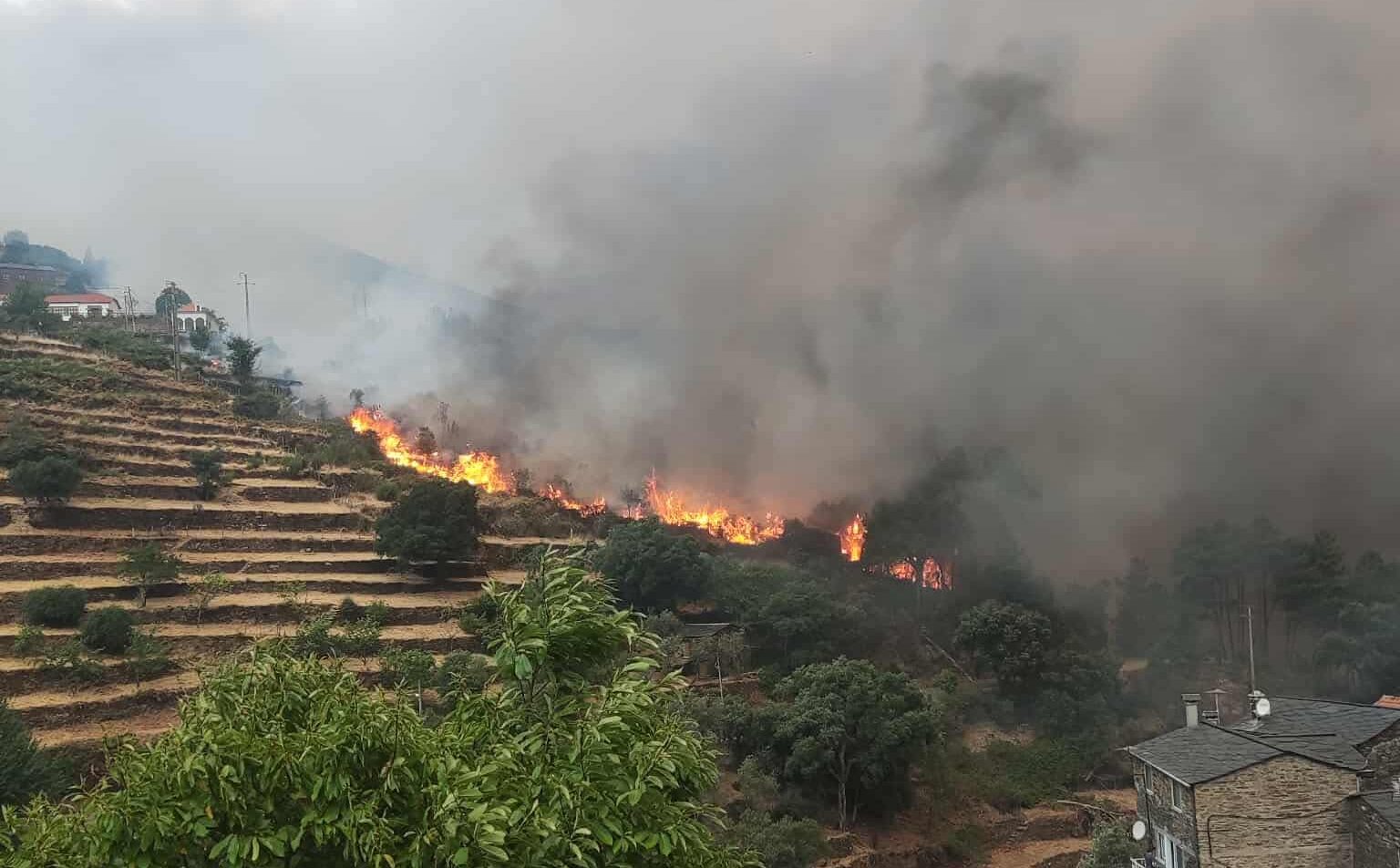 Incêndio no concelho de Góis controlado