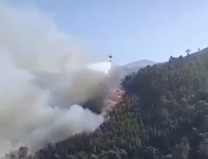 Detido incendiário de Seia