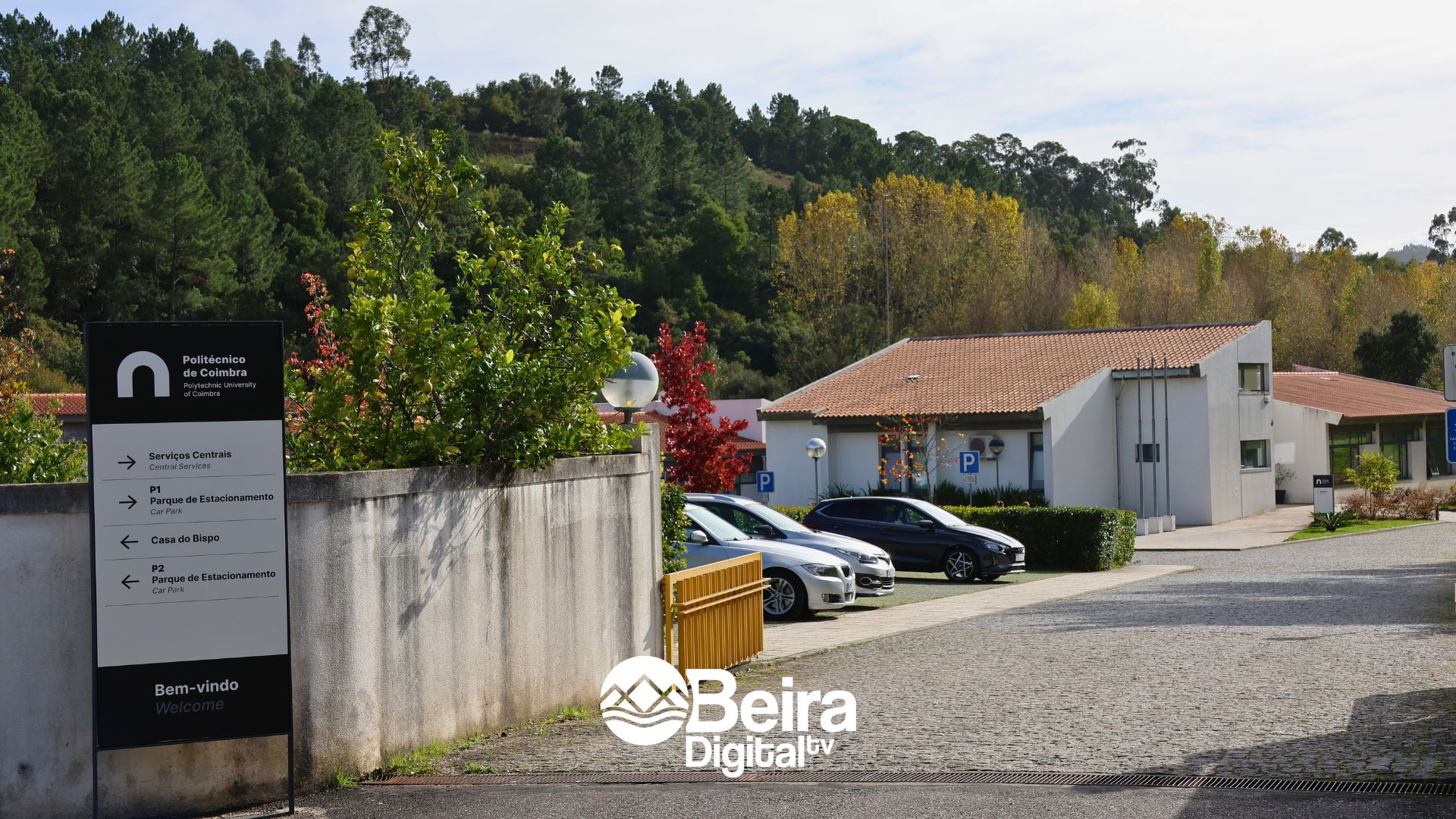II Gala do Desporto do IPC celebra mérito académico e desportivo
