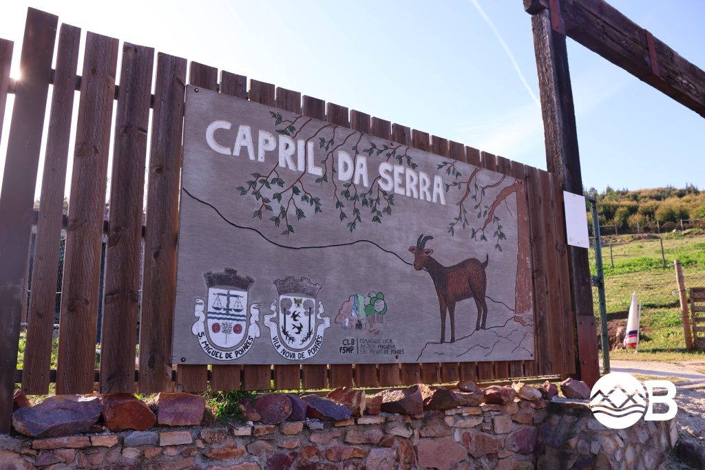 capril da serra @BDTV