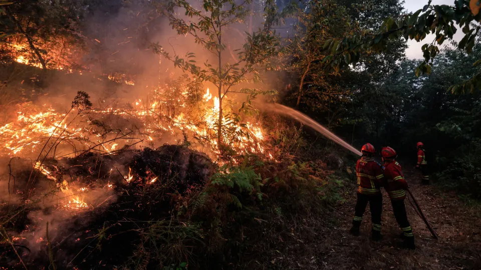 Mais de 100 operacionais combatem fogo na Serra do Caramulo @Lusa