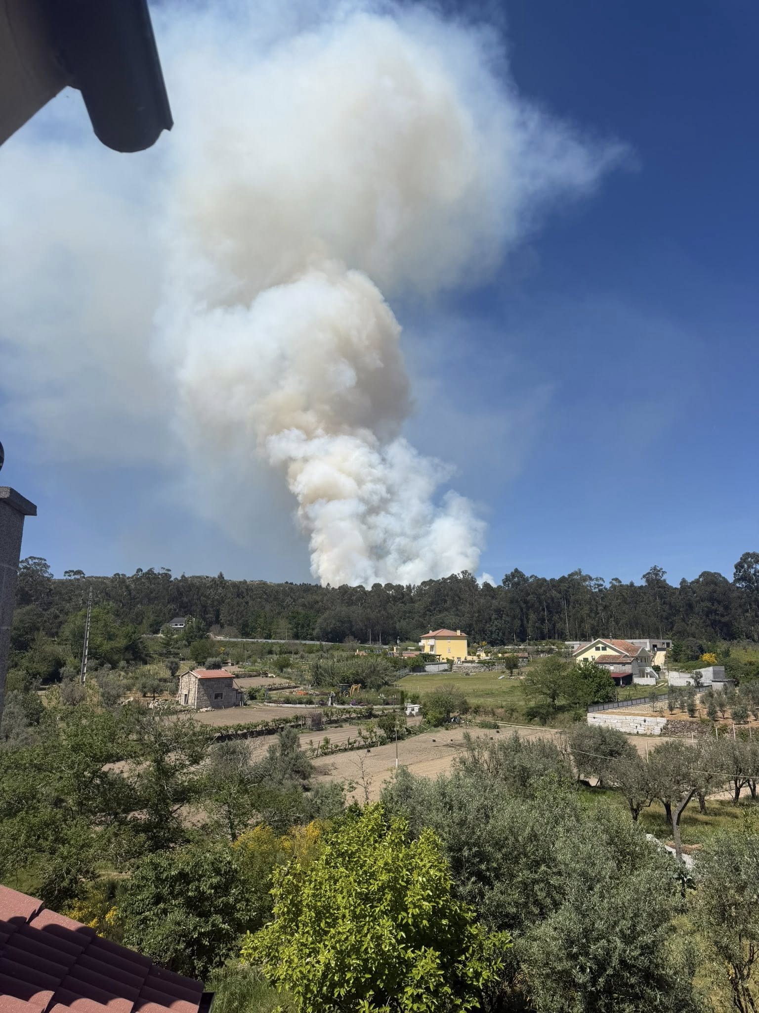 Incêndio em Rio de Moinhos é combatido por três meios aéreos @Rio de Moinhos