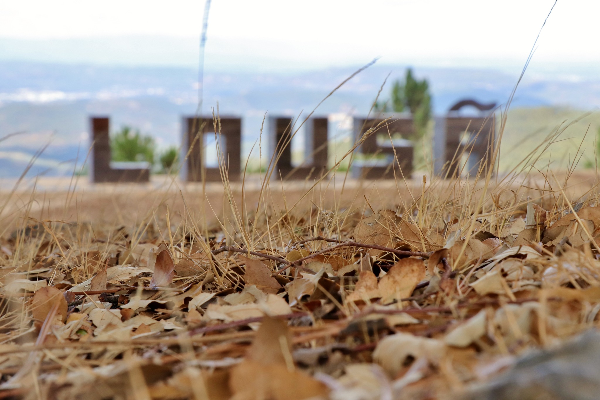 Lousã aprova projeto de Regulamento do Prémio de Sustentabilidade do Município @CM Lousã