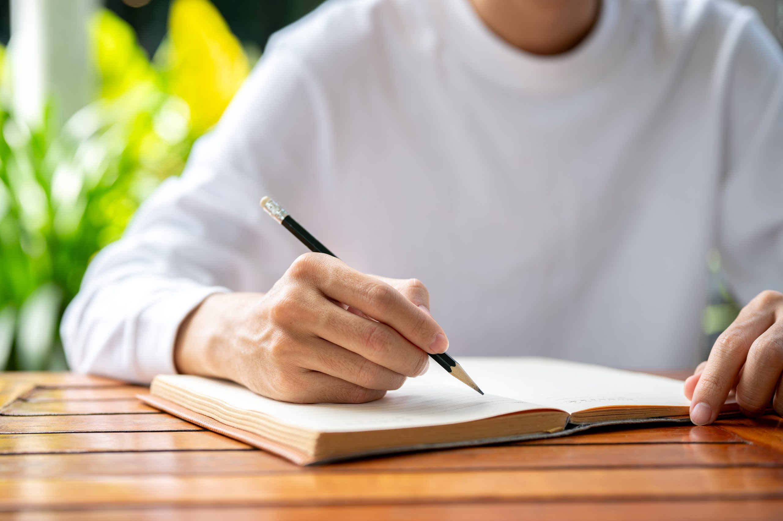 escrever um conto @envato