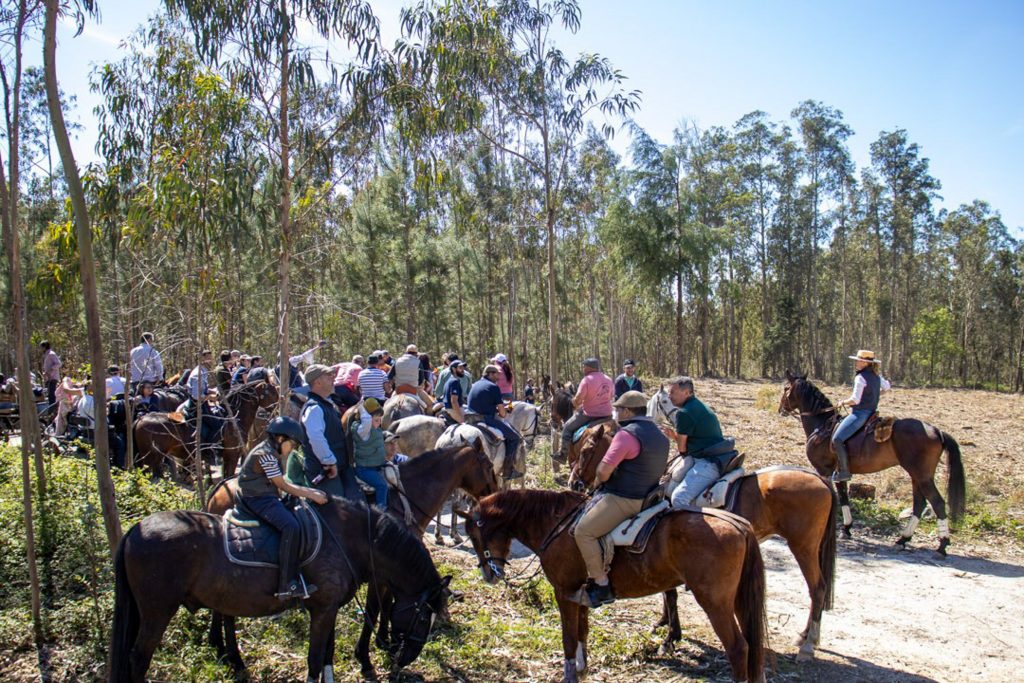 Passeio equestre Meco