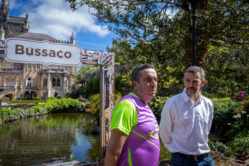 trilhos luso bussaco @CM Mealhada