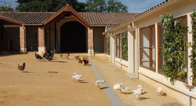 Agromuseu Municipal Dona Julinha promove projeto de valorização do Património Cultural da Ortigosa @CM Leiria