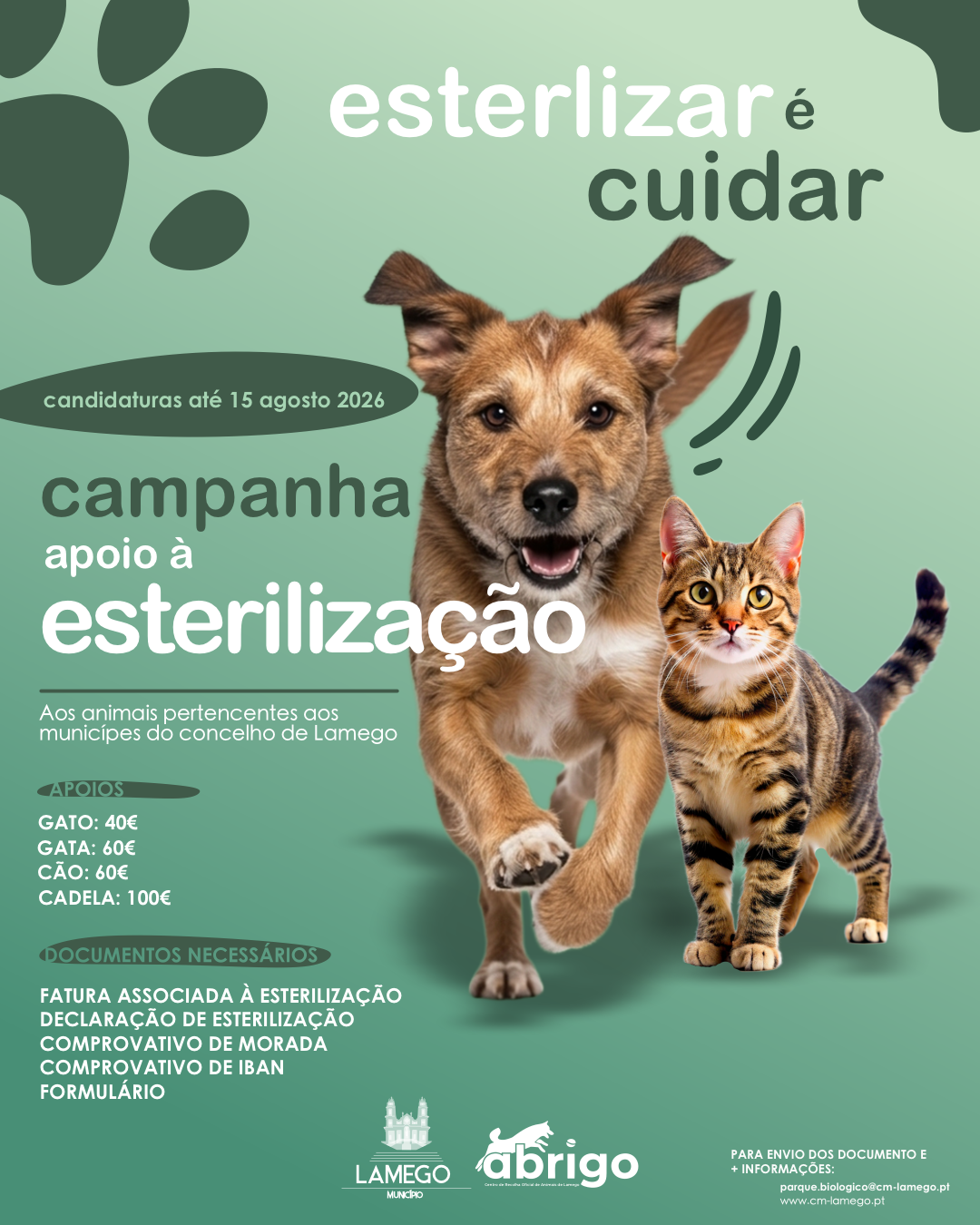 Lamego apoia esterilização de animais de companhia @CM Lamego