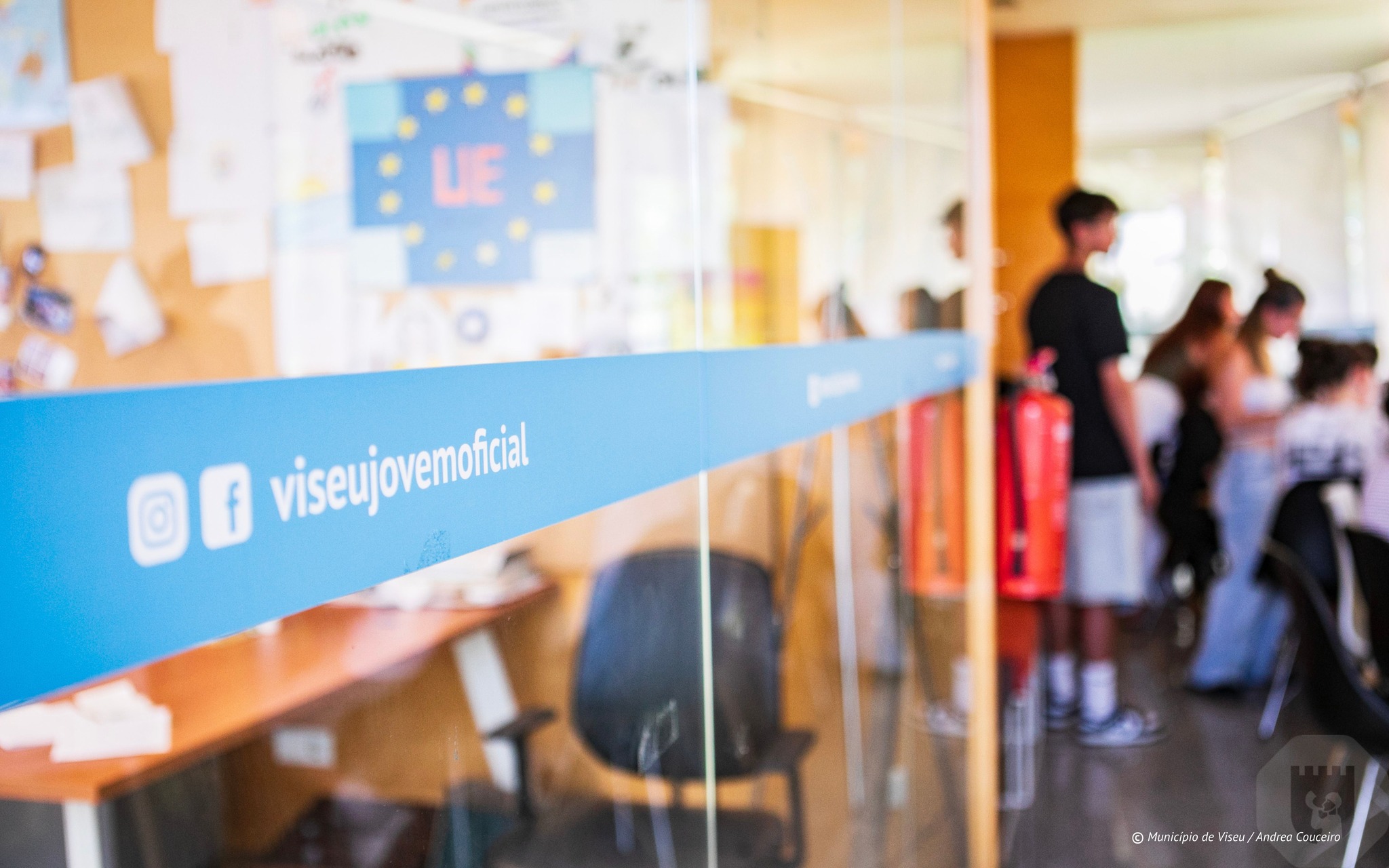 Programa Verão Viseu Jovem regressa com novas experiências e aposta no voluntariado jovem @CM Viseu