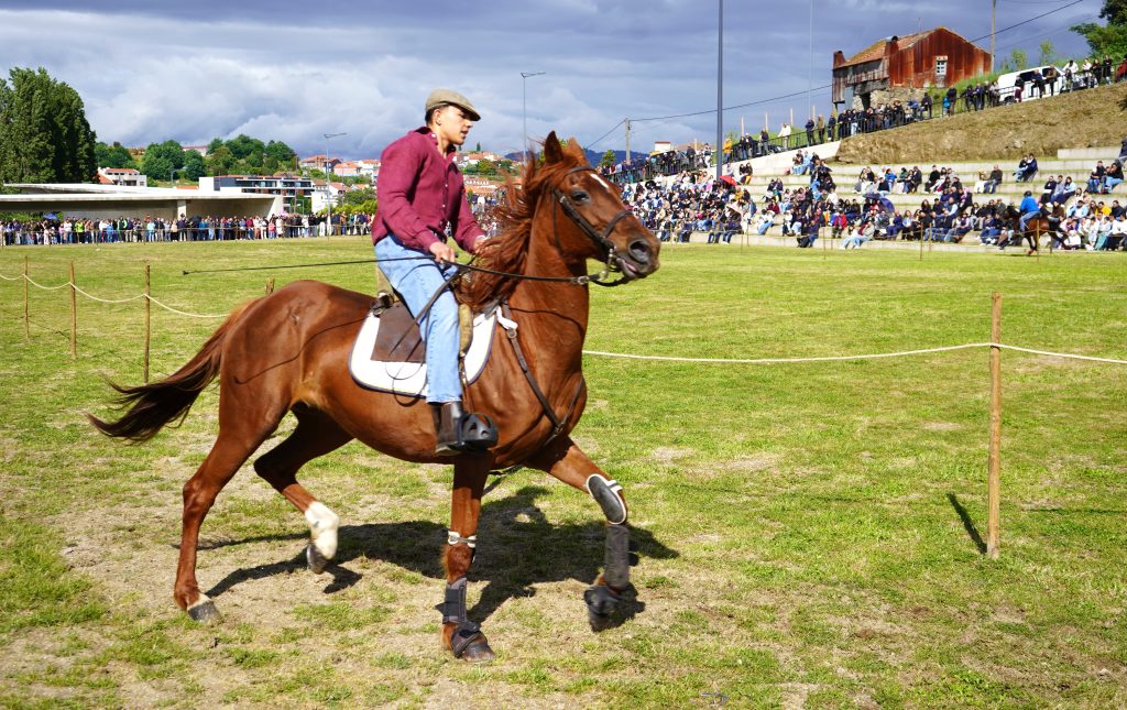 Arte equestre atrai aficionados à Feira de Santa Cruz em Lamego @CM Lamego
