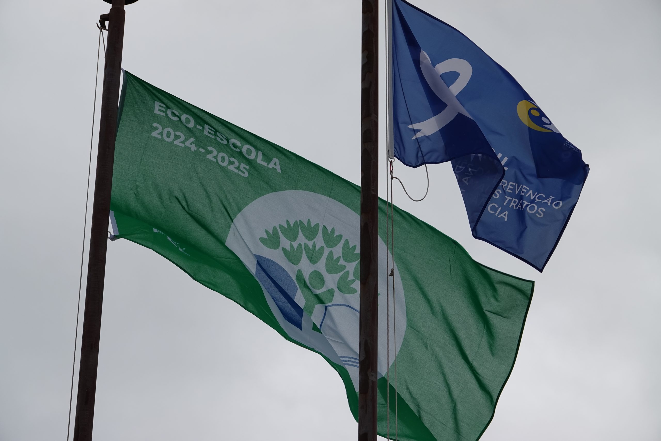 Agrupamento de Escolas Infante D. Pedro assinala Dia Eco-Escolas com diversas atividades dedicadas ao ambiente @CM Penela