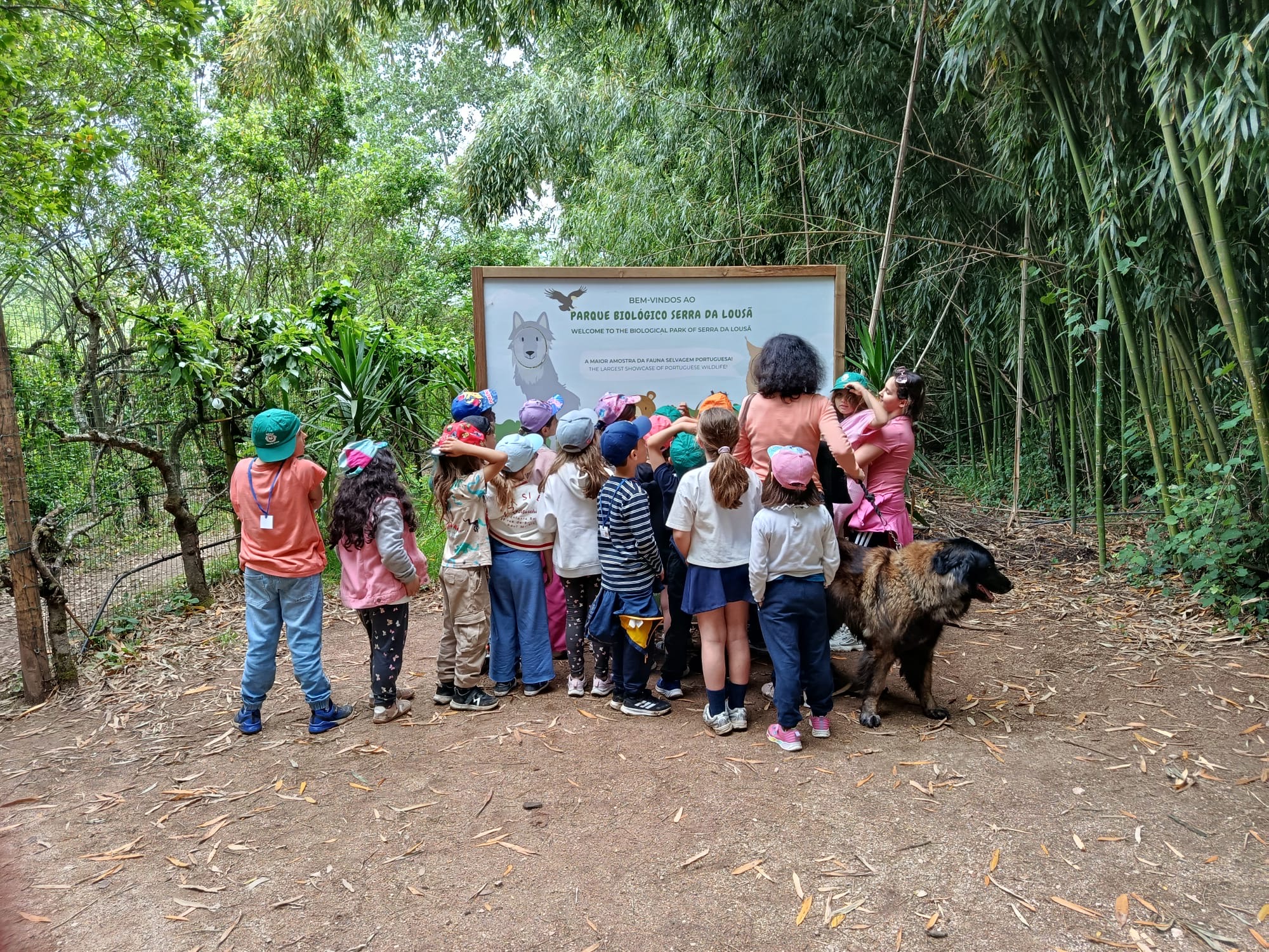 Parque Biológico da Serra da Lousã reforça atratividade junto de escolas @Fundação ADFP