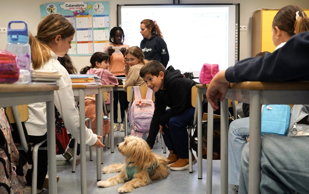 "Pulguinha Vai à Escola" ajuda a divulgar benefícios da esterilização @CM Lamego