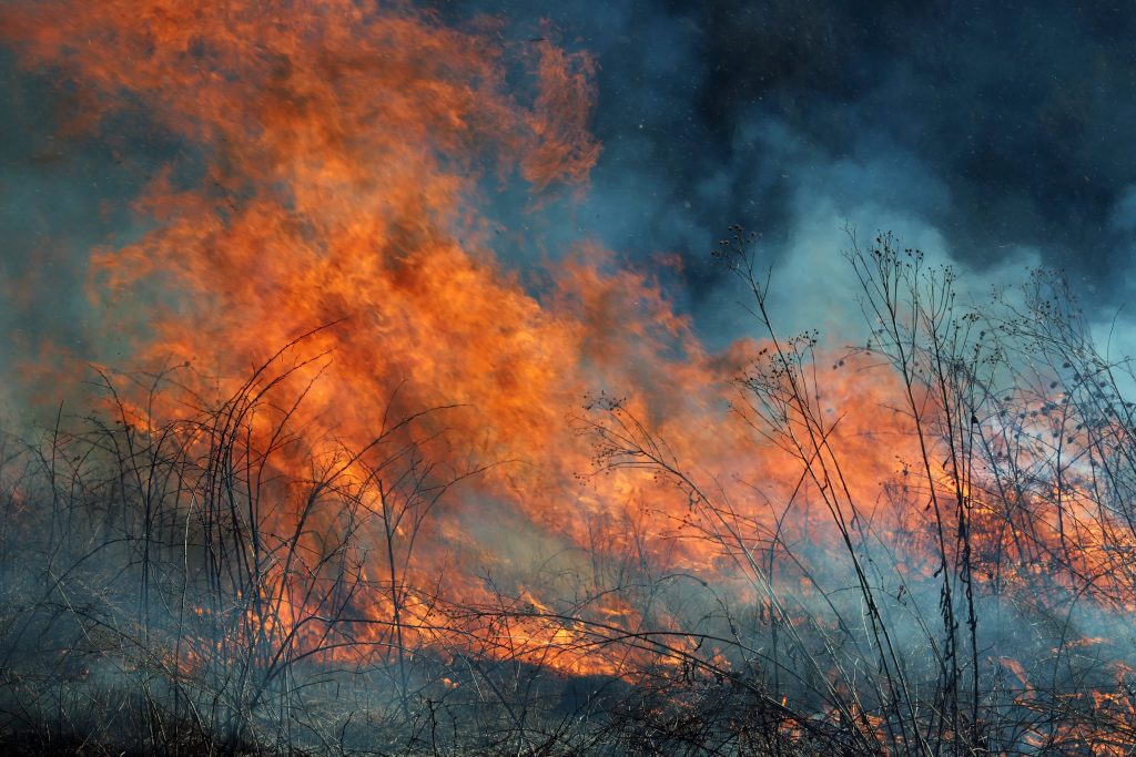incêndios @envato