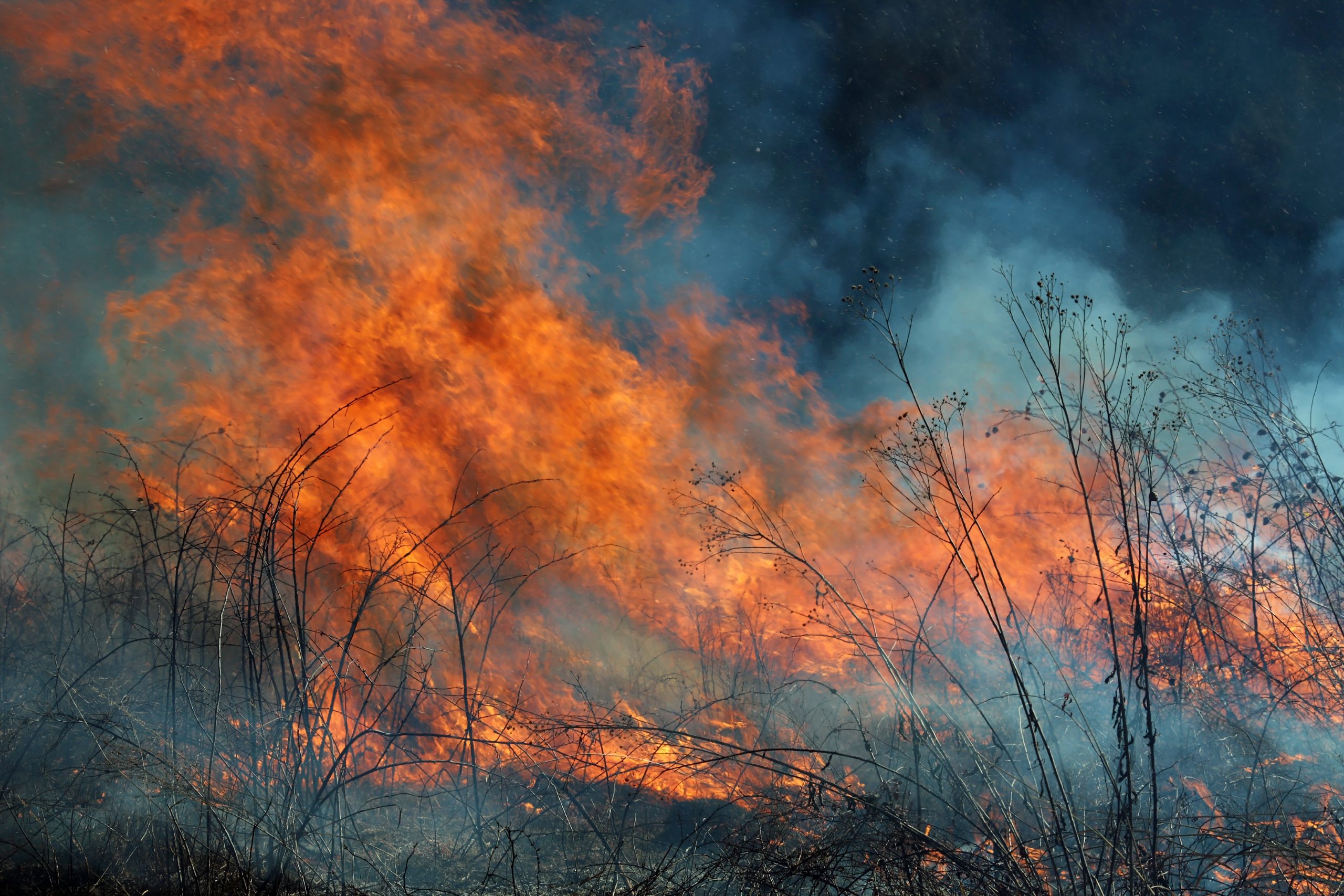 incêndios @envato