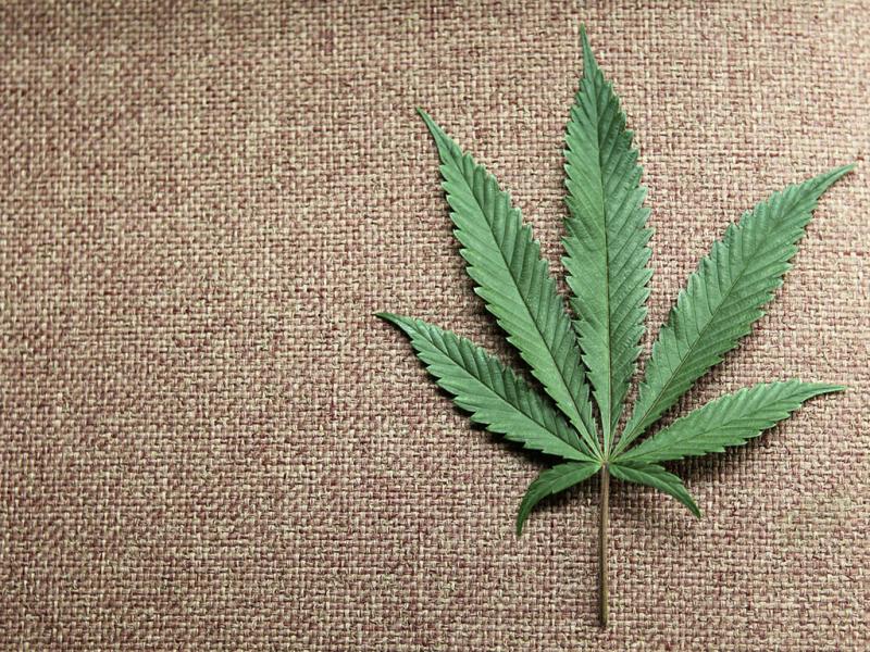 PJ detém três suspeitos de tráfico de droga em Olhão @PJ