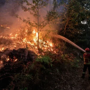 Mais de 100 operacionais combatem fogo na Serra do Caramulo @Lusa