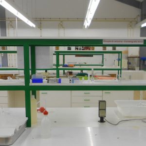 Agricultura, Floresta e Pastoreio em Debate no Centro da Biomassa para a Energia em Miranda do Corvo @CBE