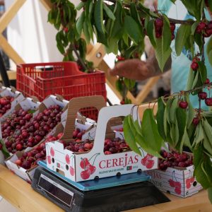 Resende veste-se de vermelho para acolher mais uma edição do Festival da Cereja @CM Resende