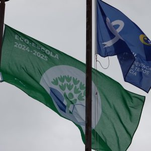 Agrupamento de Escolas Infante D. Pedro assinala Dia Eco-Escolas com diversas atividades dedicadas ao ambiente @CM Penela