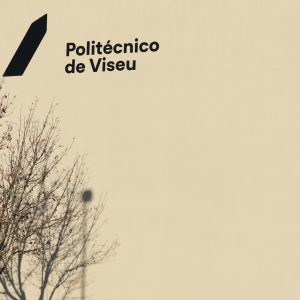 politécnico viseu