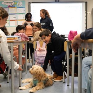 "Pulguinha Vai à Escola" ajuda a divulgar benefícios da esterilização @CM Lamego