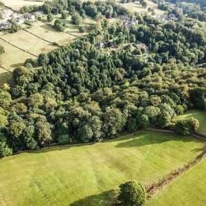 terreno @envato