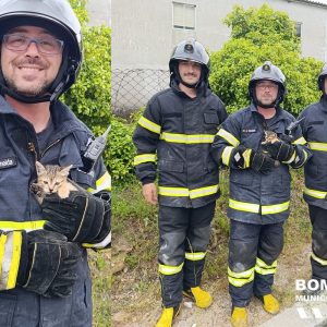 bombeiros lousã