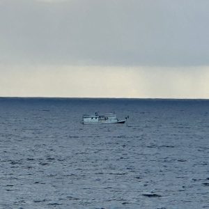 d8428c7c-3101-4c8e-b44e-6eeeb83708e3